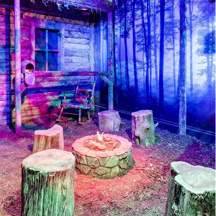 Escape Room - The Cabin (Georgetown)
