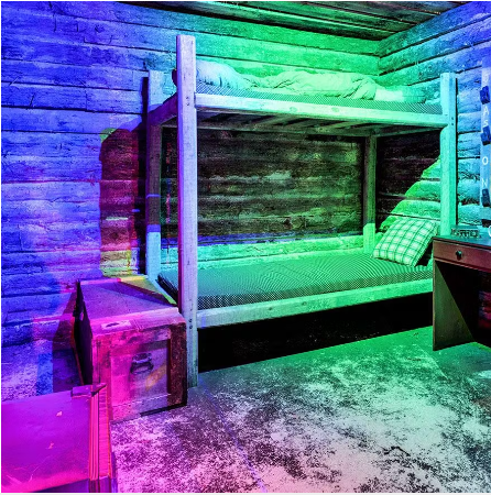 Escape Room - The Cabin (Georgetown)