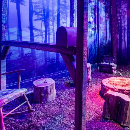Escape Room - The Cabin (Georgetown)
