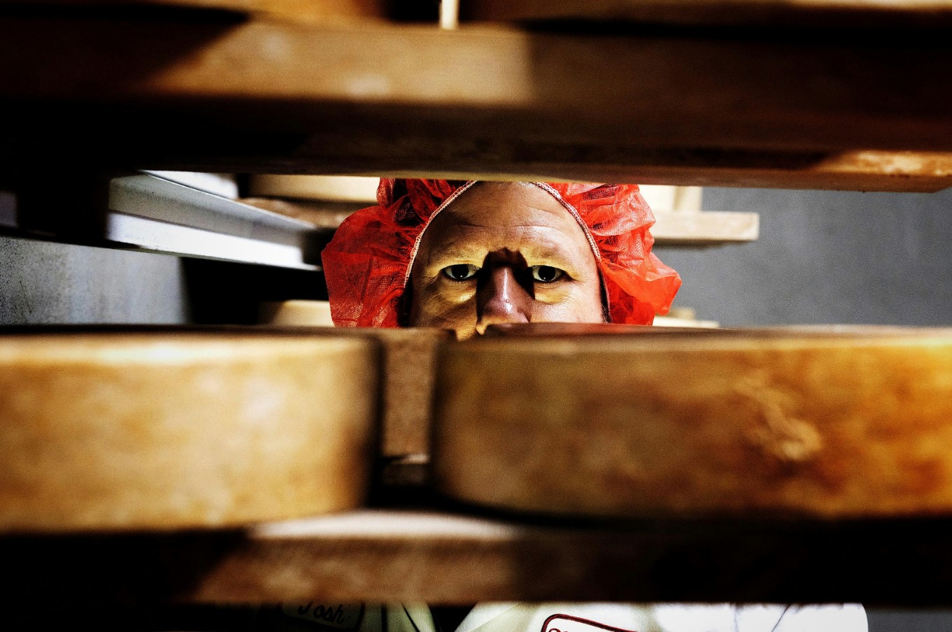 From the Caves: Cheese & Red Wine Pairing