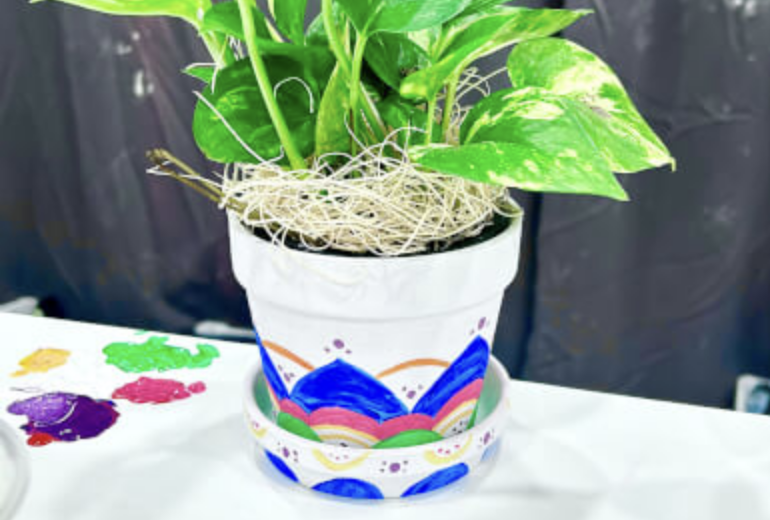 Planter Painting Class