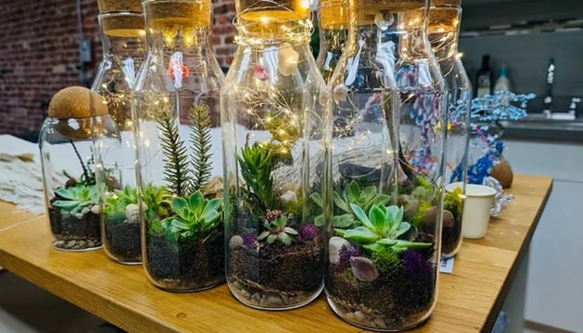 Closed Terrarium