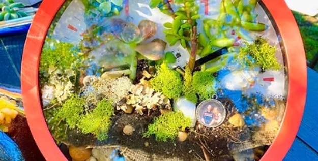 Closed Terrarium