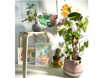 Nature’s Watercolor: The Botanical Alchemy