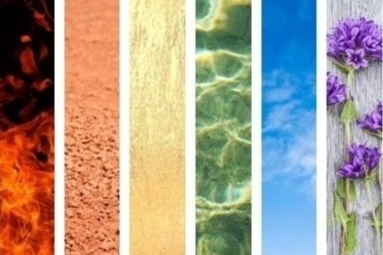 Elemental Wellness Course