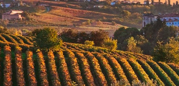 Braida Wine Dinner