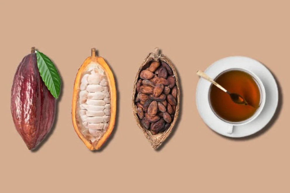 Chocolate Tasting: Tea and Chocolate Pairing