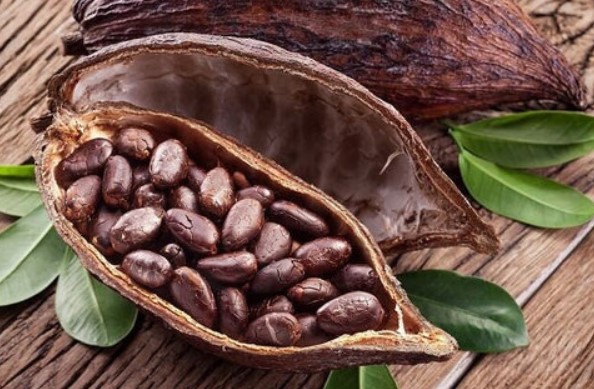 Ancestral Beans Chocolate Tasting