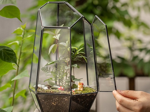 Terrarium Workshop: Sip and Plant