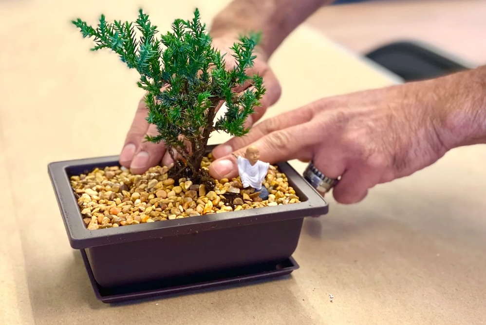 Bonsai Workshop