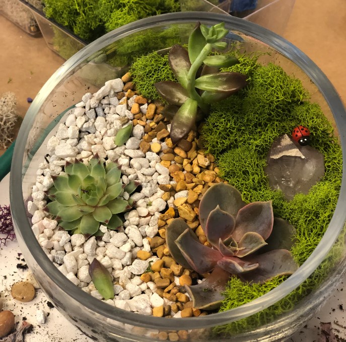 Classic Terrarium Workshop