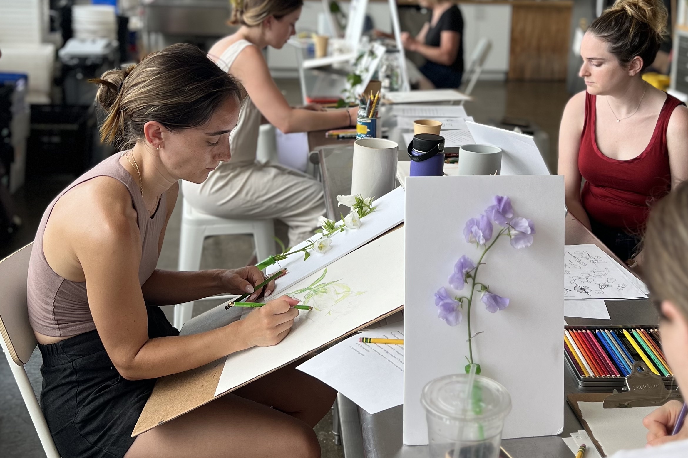 Botanical Drawing + Painting Workshops