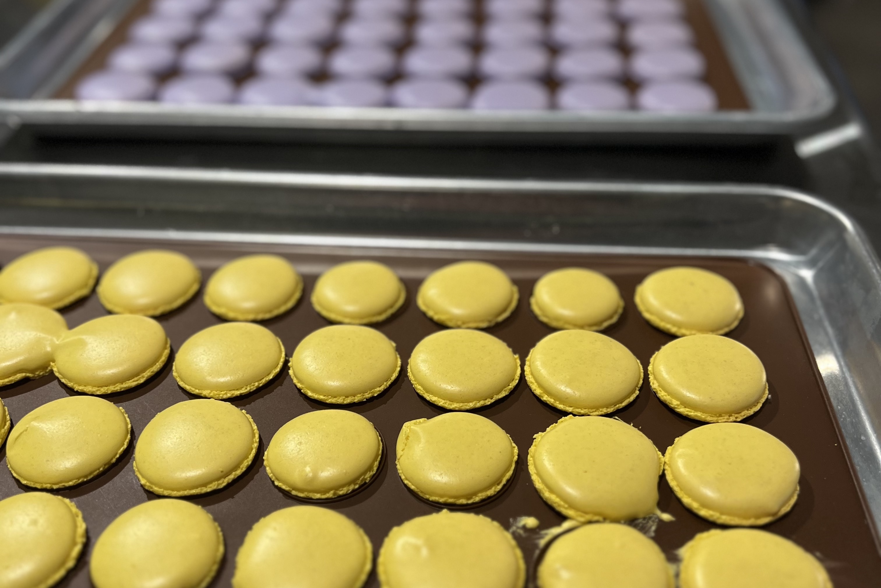 Bake Like a Pro: Macaron Making for Beginners