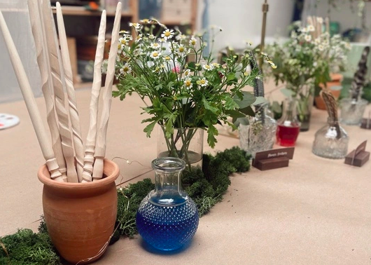 Magic + Alchemy | Summer Camp