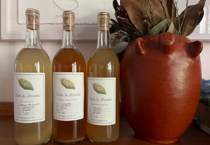 Foraged Fruit: A Natural Wine Making Class