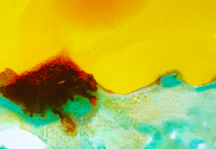 Botanical Ink Making Intensive