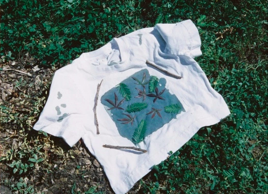 “Blueprints of Nature”: A Cyanotype + Tea Blending Workshop