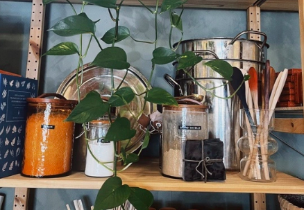 Naturally Dyeing with Oak Gall + Iron