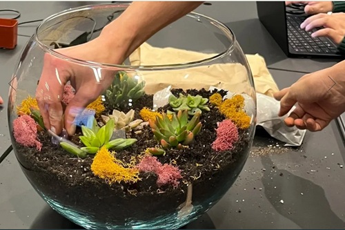 Deluxe Terrarium