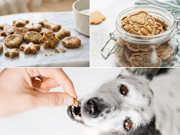 Treats for a Happy Pup