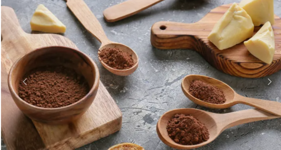 Mastering the Art of Chocolate