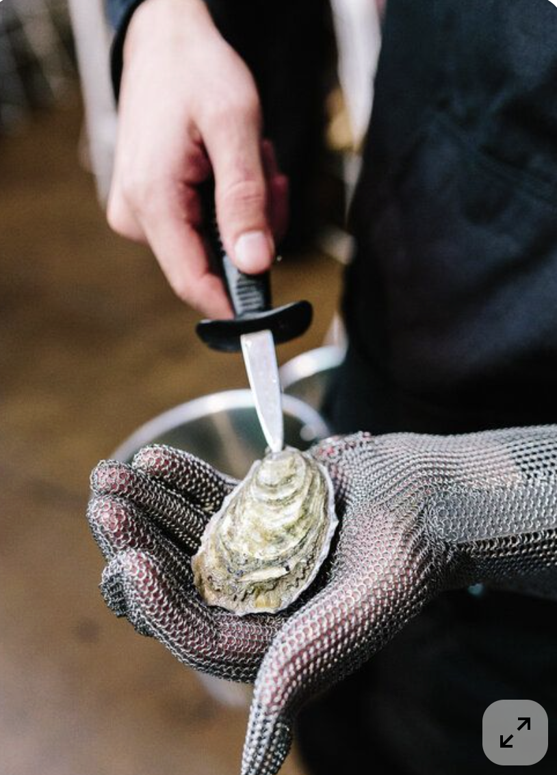 Oyster Shucking + Beverage Pairing