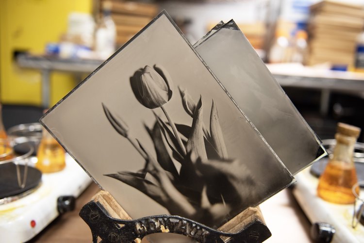 8"x10" Wet Plate