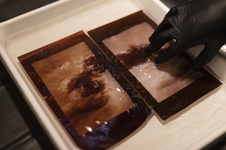 Albumen [Class in NYC] Penumbra Foundation CourseHorse