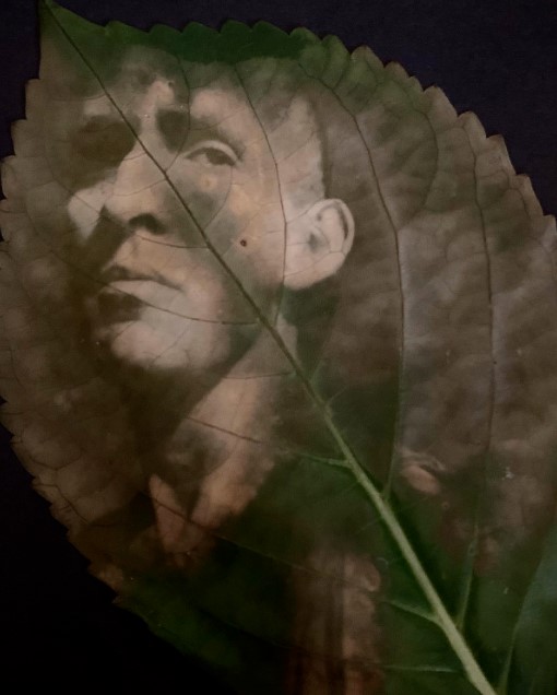 Anthotypes & Other Organic Processes I