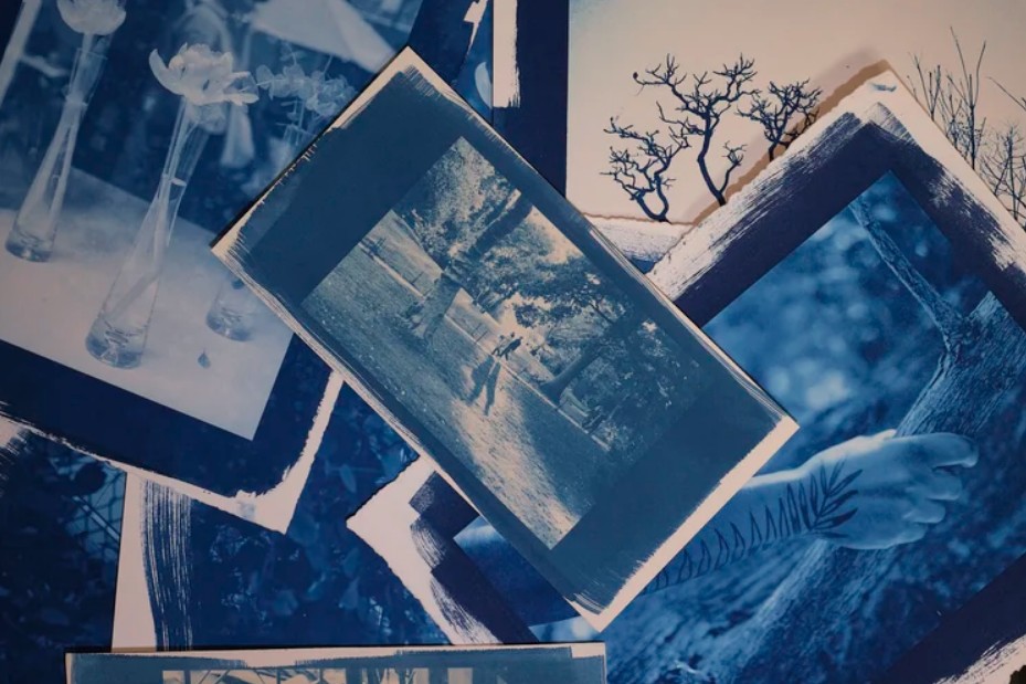 Mini Series: Cyanotype