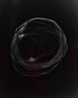 Photograms: An Introduction to the Darkroom