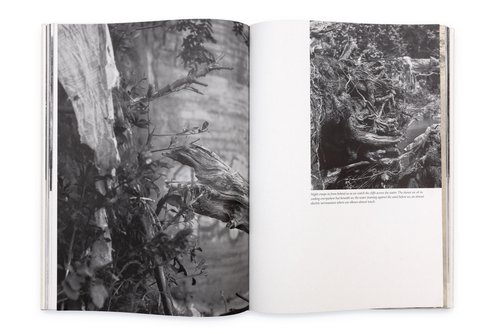 Developing Writing for Photo Projects
