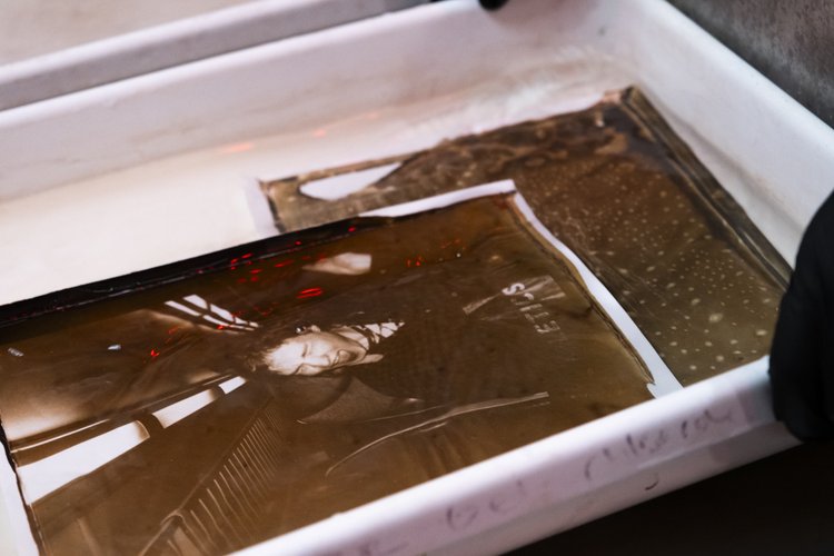 Dry Plate to Print
