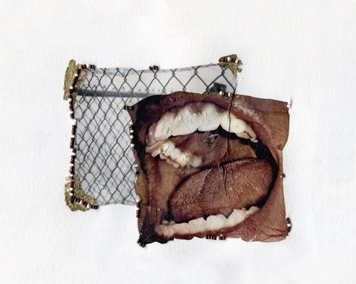 Instant Film Emulsion Lifts & Creative Manipulation
