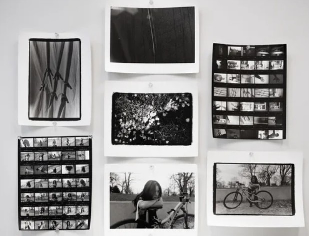 Intro to B&W Film Photography
