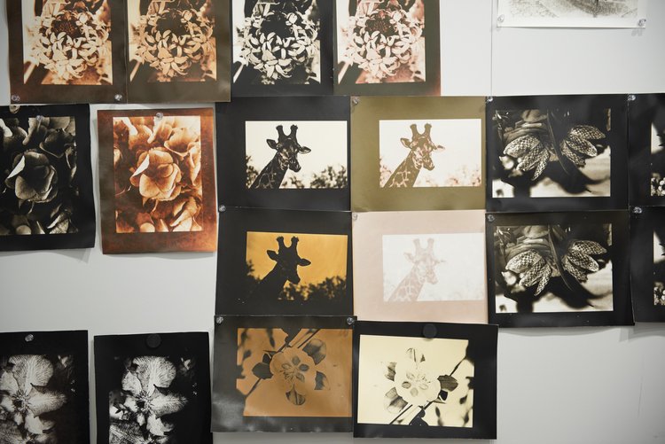 Lith Printing