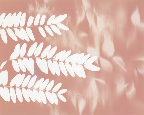 Lumen Printing