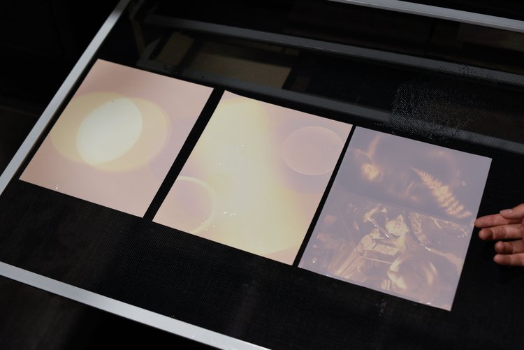 Lumen Printing