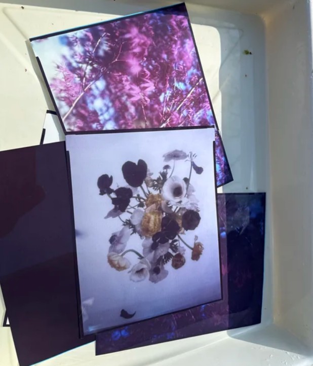 Paper Positives: In-Camera Color
