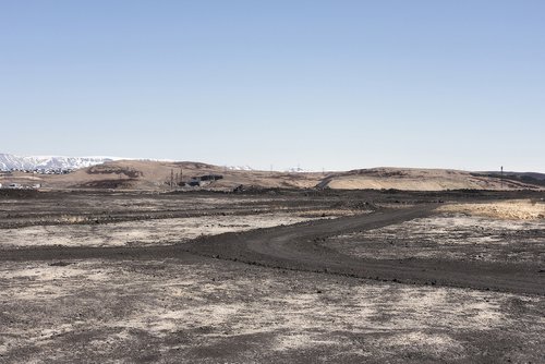 Photography and Ecology