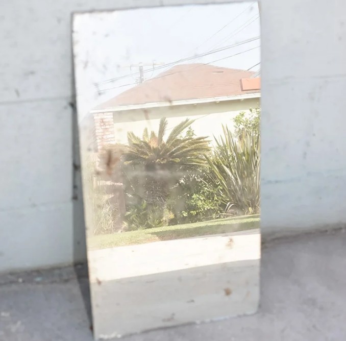 Photography and Ecology