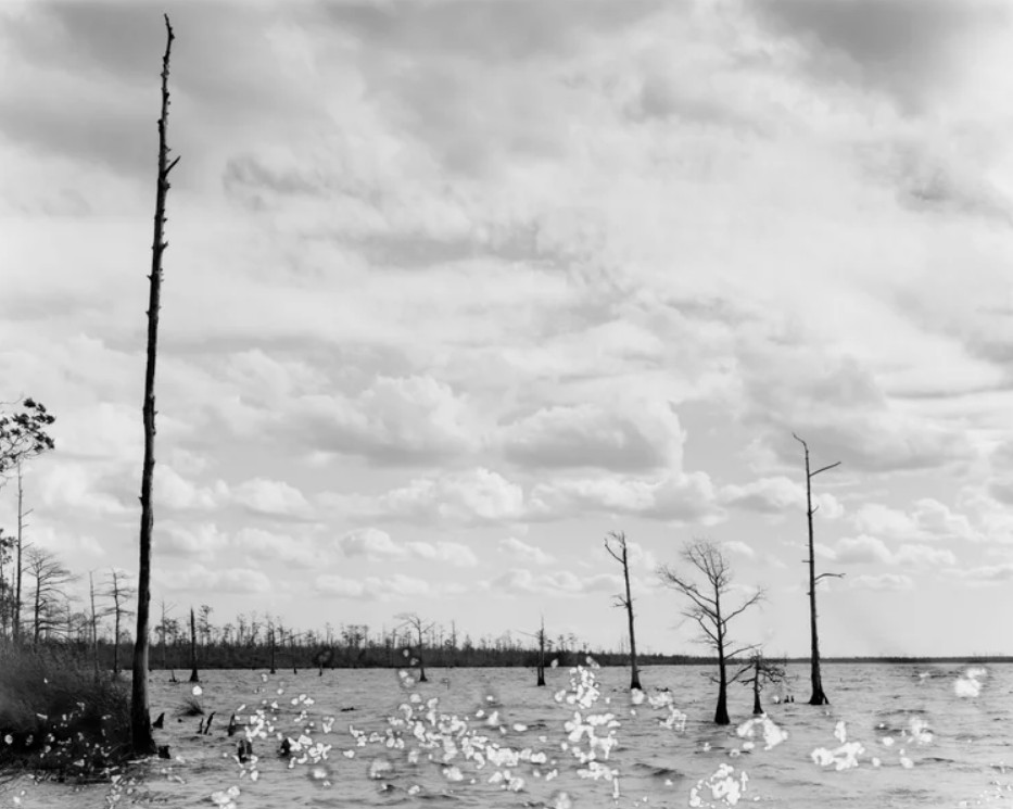Photography in a Changing Climate