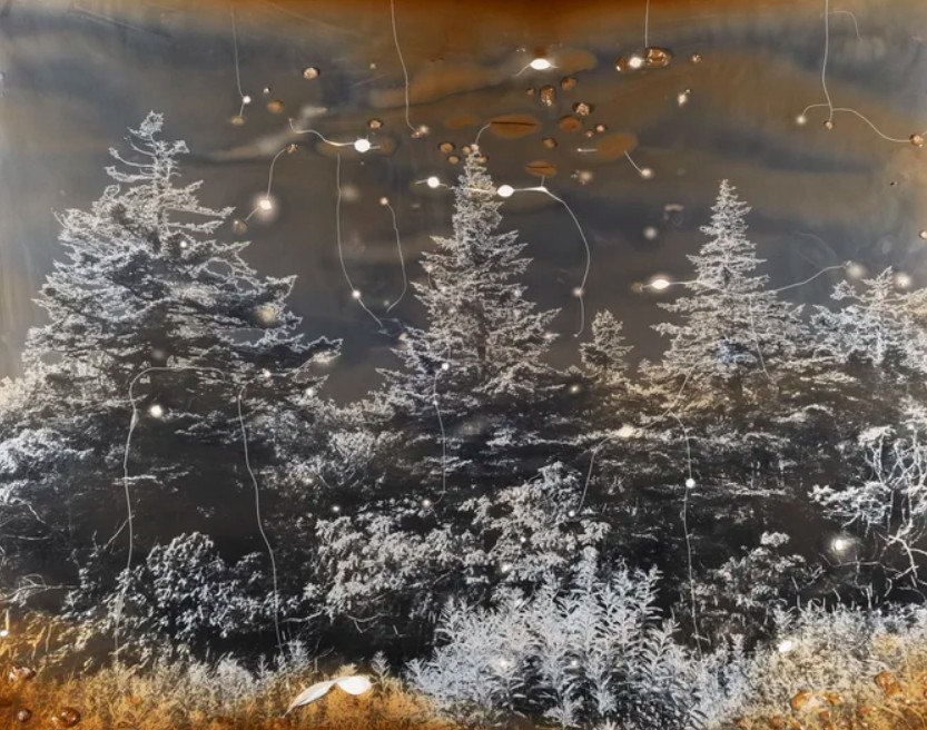 Photography in a Changing Climate