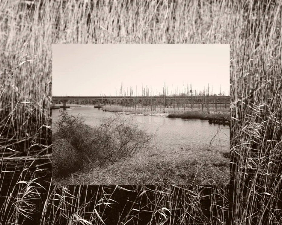 Photography in a Changing Climate