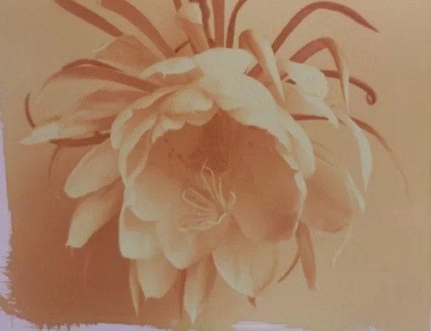 Printing with Copper: The Cuprotype Process