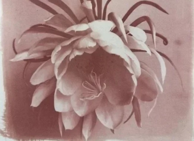 Printing with Copper: The Cuprotype Process