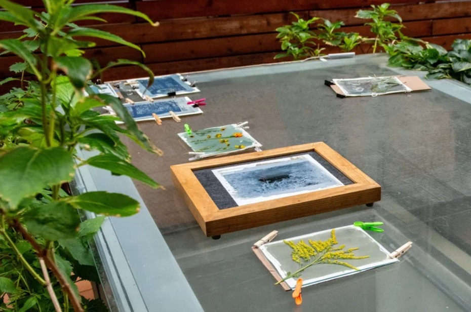 Sustainable Photographic Practices
