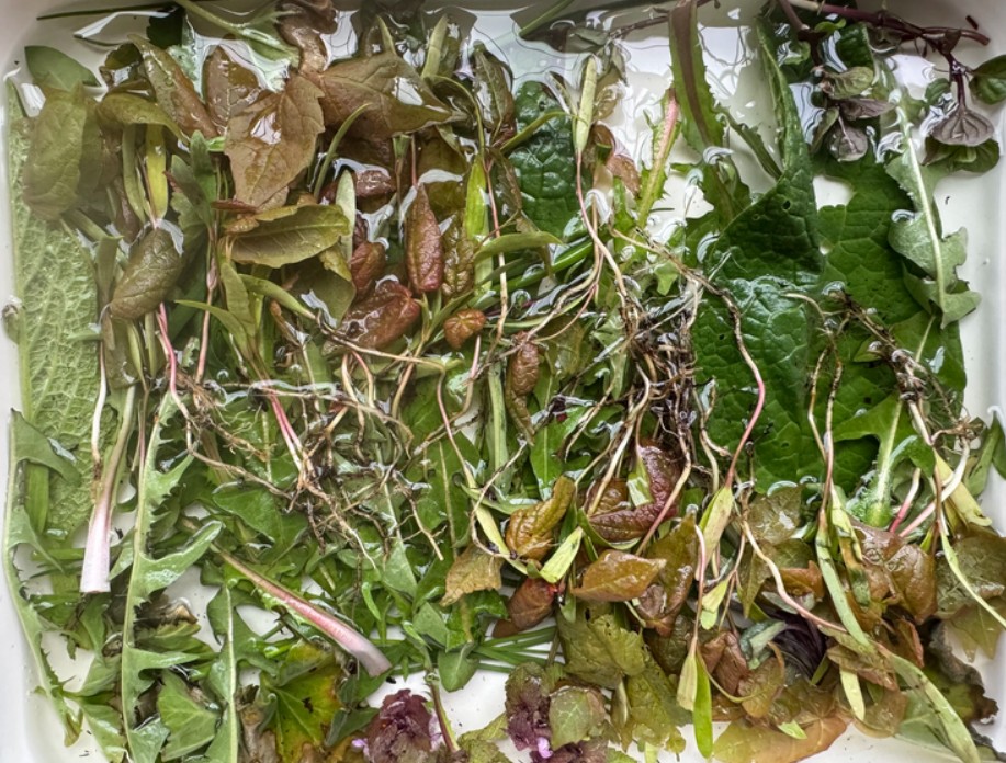 Sustainable Photographic Practices
