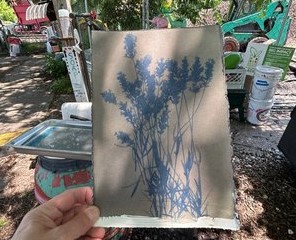 Urban Farm Cyanotypes