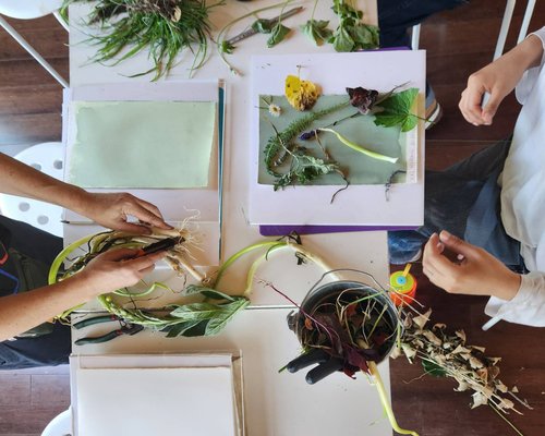 Urban Farm Cyanotypes